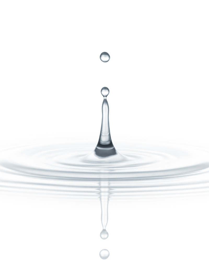 Eau floral de Romarin