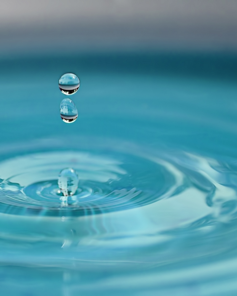 Lotion Tonique Éclat à l’Eau de Rose BIO &amp; NILA